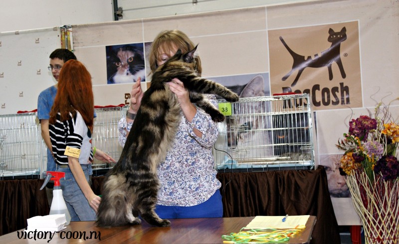 Ultra Victory, РосКошная осень в Сокольниках, 16-17 октября 2016 г.