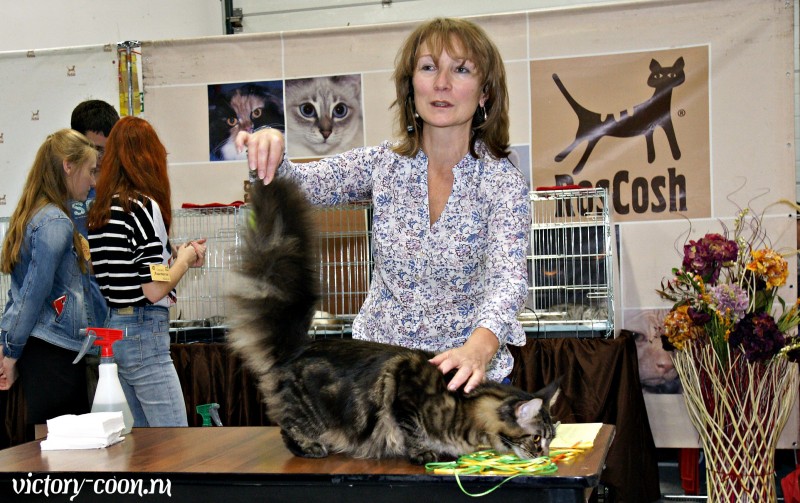 Ultra Victory, РосКошная осень в Сокольниках, 16-17 октября 2016 г.