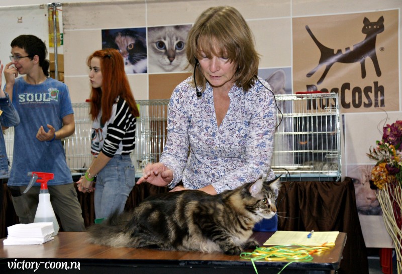 Ultra Victory, РосКошная осень в Сокольниках, 16-17 октября 2016 г.