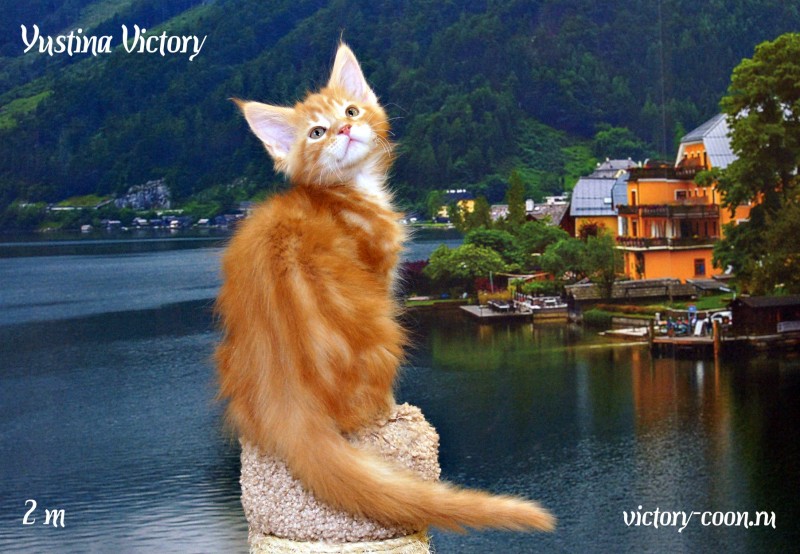 Yustina Victory, 2 месяца