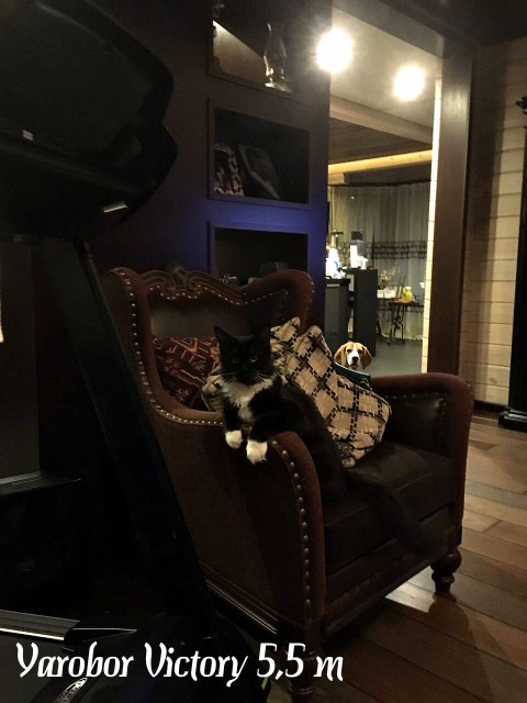 Yarobor Victory, 5,5 месяцев