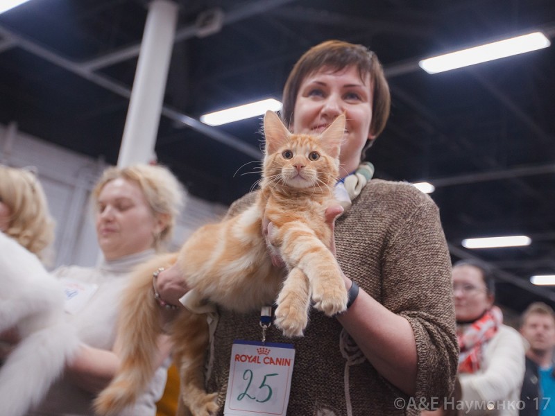 Кубок Валенсии, 8-9 апреля 2017, Сокольники, Victory