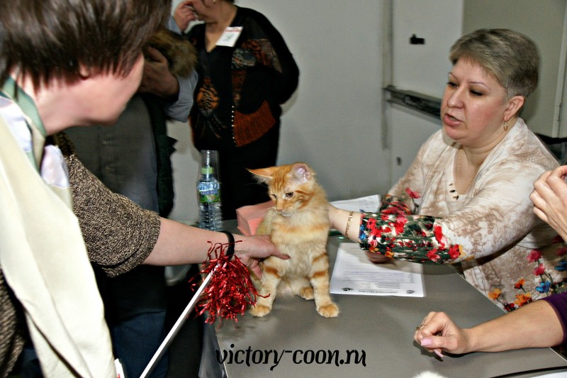 Кубок Валенсии, 8-9 апреля 2017, Сокольники, Victory