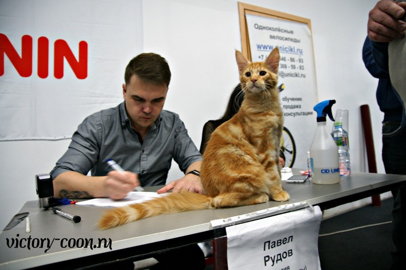 Кубок Валенсии, 8-9 апреля 2017, Сокольники, Victory