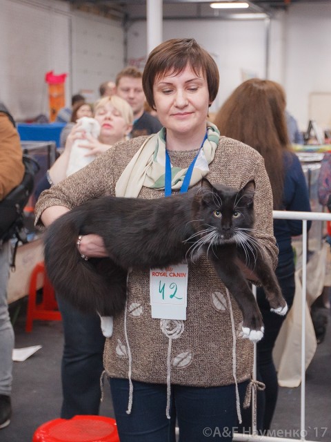 Кубок Валенсии, 8-9 апреля 2017, Сокольники, Victory