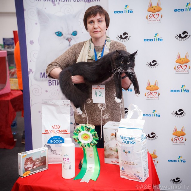 Кубок Валенсии, 8-9 апреля 2017, Сокольники, Victory