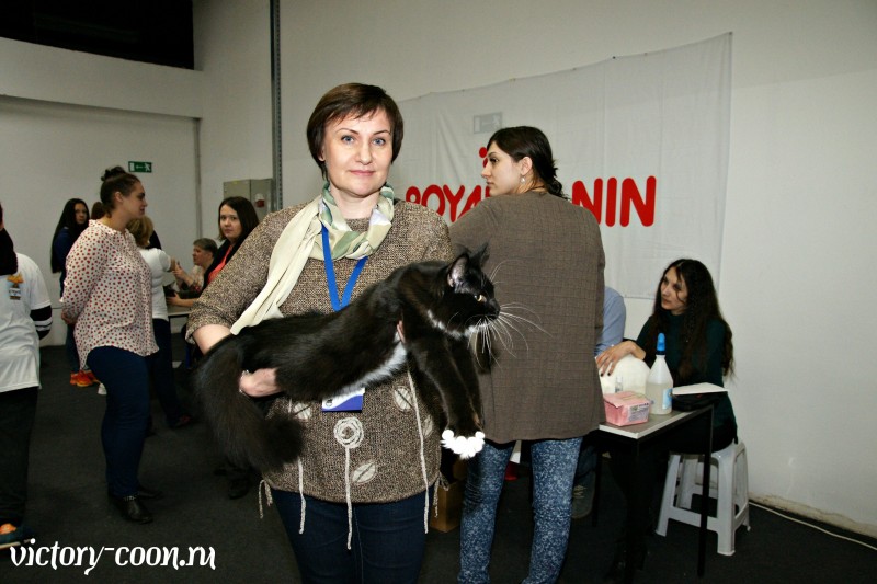 Кубок Валенсии, 8-9 апреля 2017, Сокольники, Victory