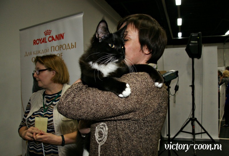 Кубок Валенсии, 8-9 апреля 2017, Сокольники, Victory