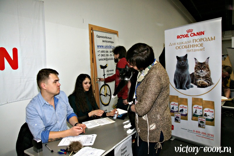 Кубок Валенсии, 8-9 апреля 2017, Сокольники, Victory