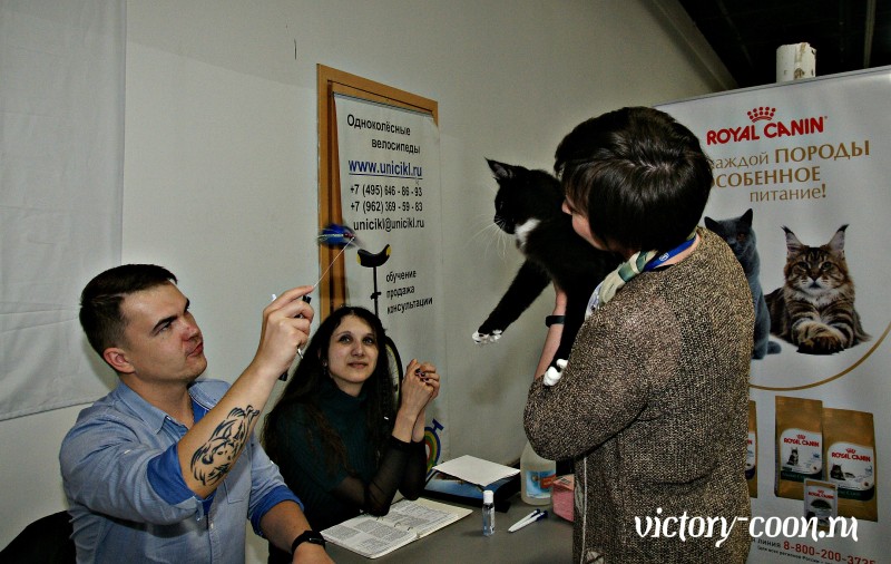 Кубок Валенсии, 8-9 апреля 2017, Сокольники, Victory