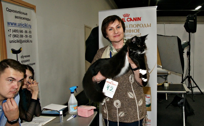 Кубок Валенсии, 8-9 апреля 2017, Сокольники, Victory