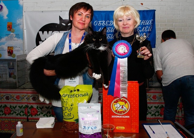 Zorro Victory, 7,5 месяцев, Фрея и ОЛСК 20-21 мая 2017 г.