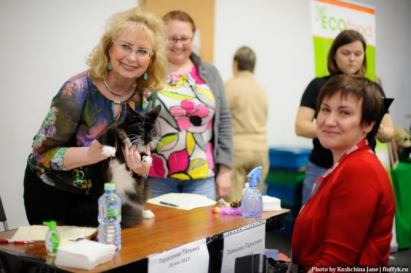 Zorro Victory, 7,5 месяцев, Фрея и ОЛСК 20-21 мая 2017 г.