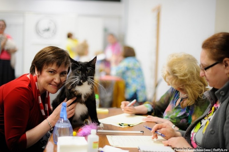 Zorro Victory, 7,5 месяцев, Фрея и ОЛСК 20-21 мая 2017 г.