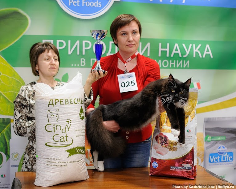 Zorro Victory, 7,5 месяцев, Фрея и ОЛСК 20-21 мая 2017 г.