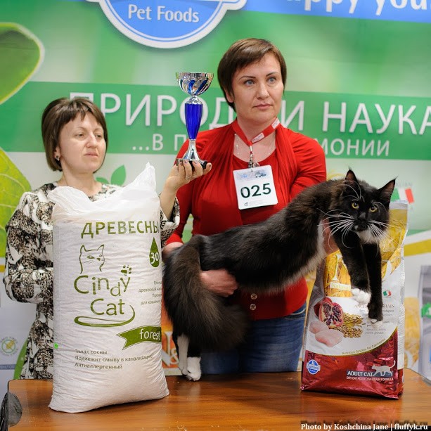 Zorro Victory, 7,5 месяцев, Фрея и ОЛСК 20-21 мая 2017 г.