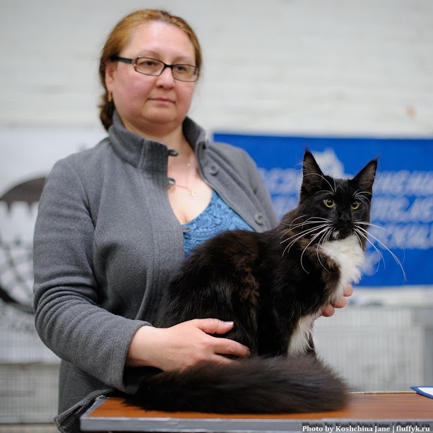 Zorro Victory, 7,5 месяцев, Фрея и ОЛСК 20-21 мая 2017 г.