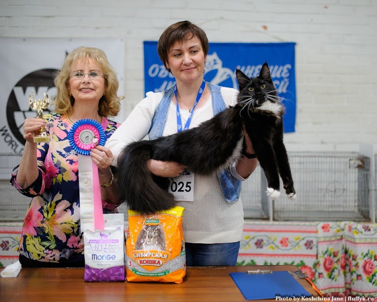 Zorro Victory, 7,5 месяцев, Фрея и ОЛСК 20-21 мая 2017 г.