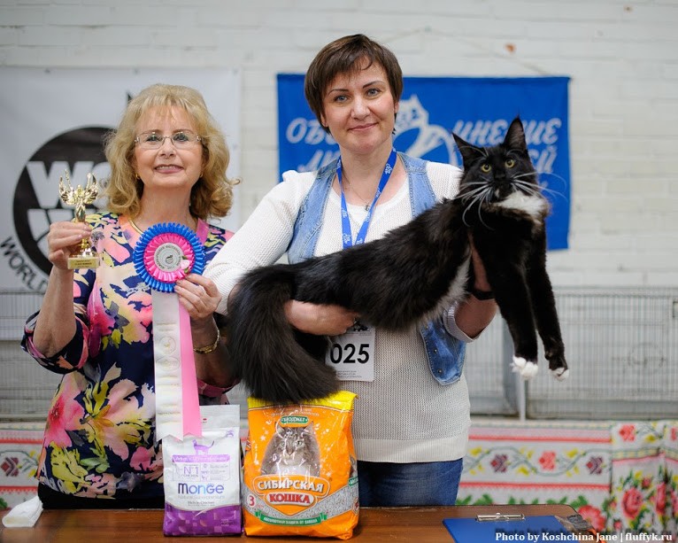 Zorro Victory, 7,5 месяцев, Фрея и ОЛСК 20-21 мая 2017 г.