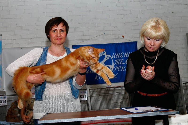 Eugene Victory, 5,5 месяцев, Фрея и ОЛСК 20-21 мая 2017 г.