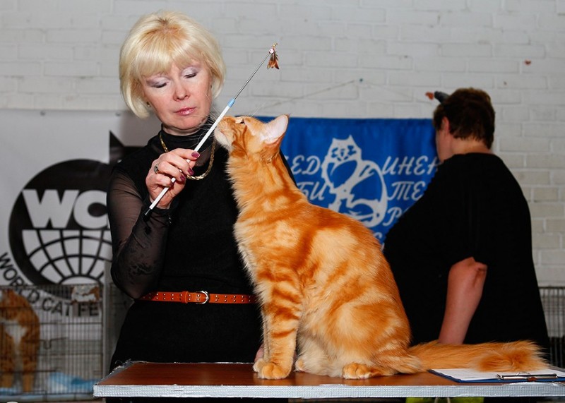 Eugene Victory, 5,5 месяцев, Фрея и ОЛСК 20-21 мая 2017 г.