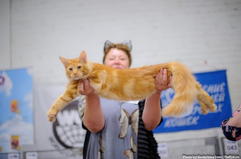 Eugene Victory, 5,5 месяцев, Фрея и ОЛСК 20-21 мая 2017 г.