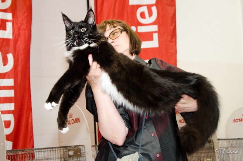 Zorro Victory, 7,5 месяцев, Фауна 3-4 июня 2017 г.