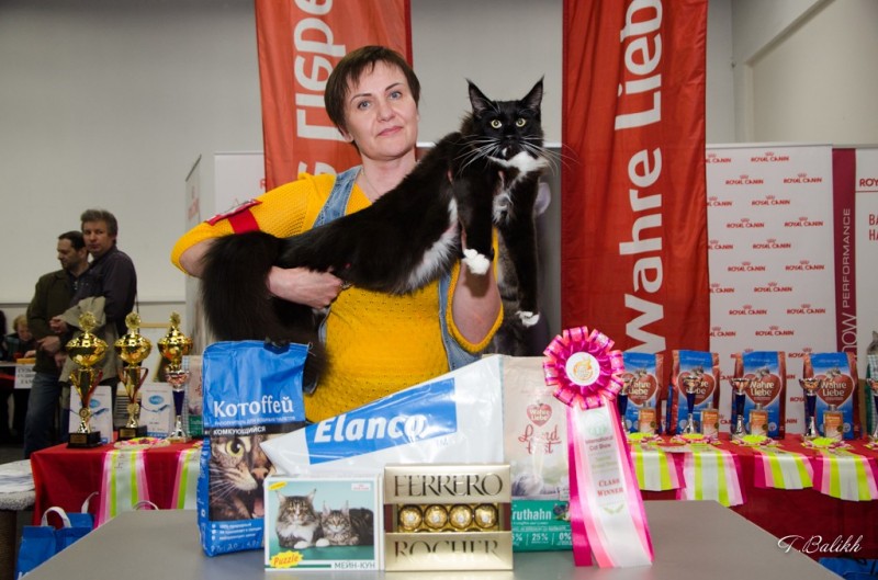 Zorro Victory, 7,5 месяцев, Фауна 3-4 июня 2017 г.