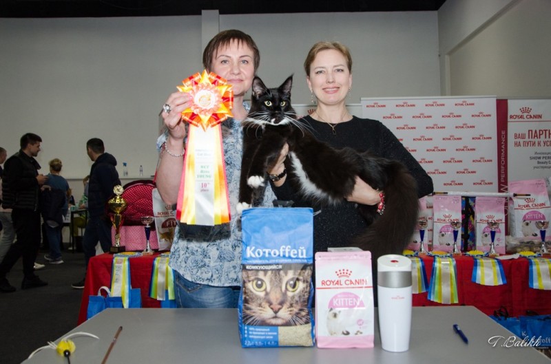 Zorro Victory, 7,5 месяцев, Фауна 3-4 июня 2017 г.