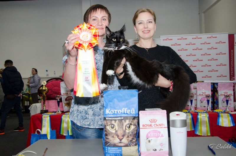 Zorro Victory, 7,5 месяцев, Фауна 3-4 июня 2017 г.