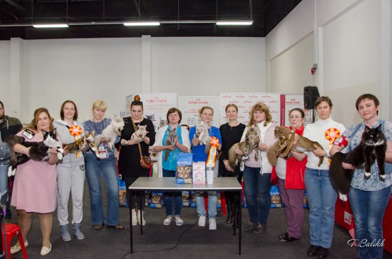 Zorro Victory, 7,5 месяцев, Фауна 3-4 июня 2017 г.