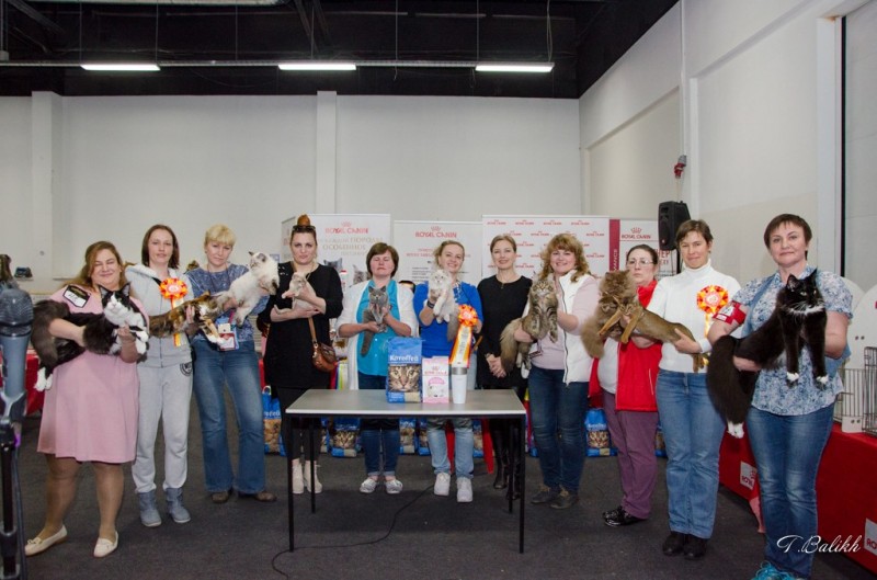 Zorro Victory, 7,5 месяцев, Фауна 3-4 июня 2017 г.