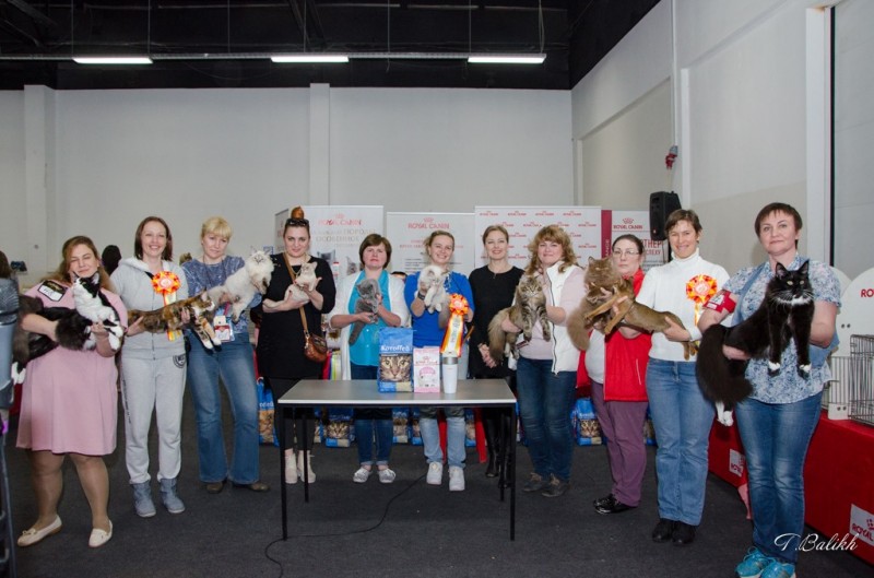 Zorro Victory, 7,5 месяцев, Фауна 3-4 июня 2017 г.