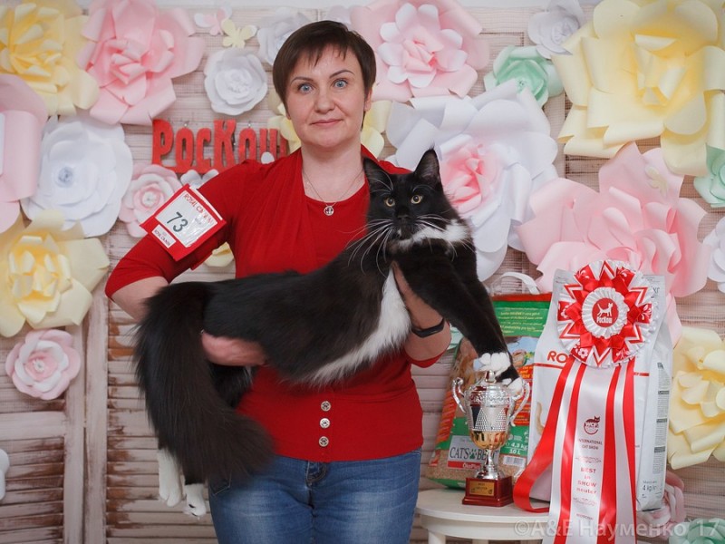 Zorro Victory, РосКош 10-11 июня 2017 г.