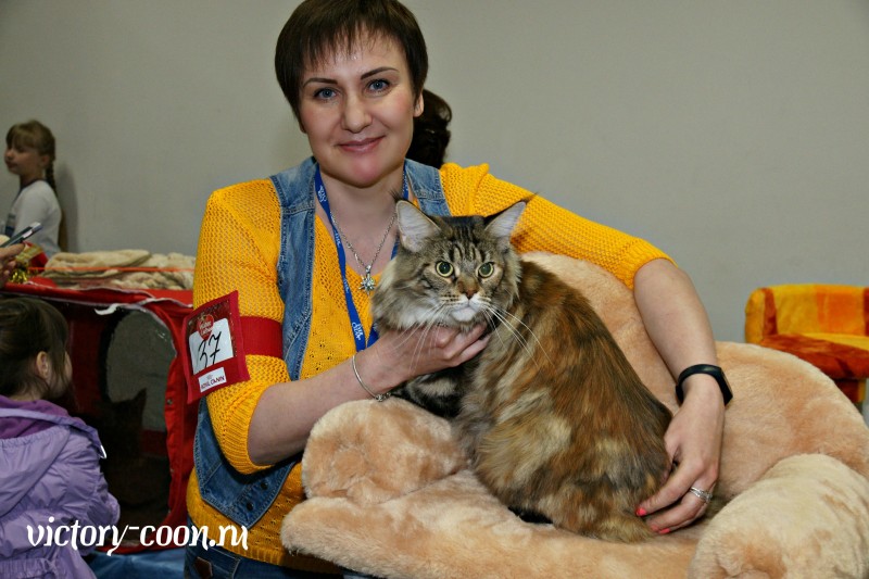 Victory's Star Esmeralda, 2 года, Фауна 3-4 июня 2017 г.