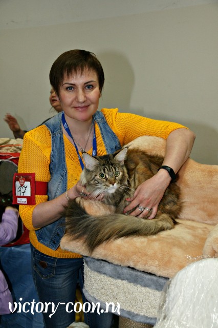 Victory's Star Esmeralda, 2 года, Фауна 3-4 июня 2017 г.