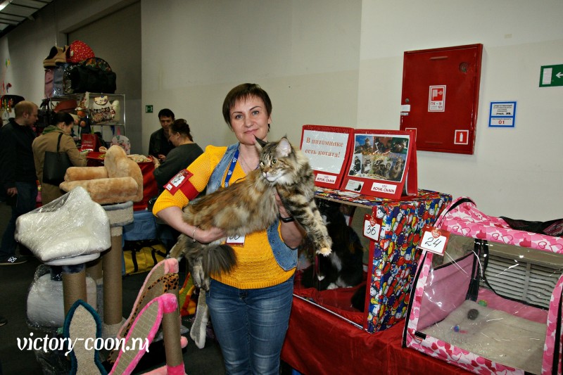 Victory's Star Esmeralda, 2 года, Фауна 3-4 июня 2017 г.