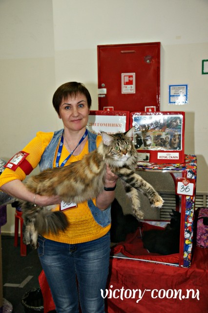 Victory's Star Esmeralda, 2 года, Фауна 3-4 июня 2017 г.