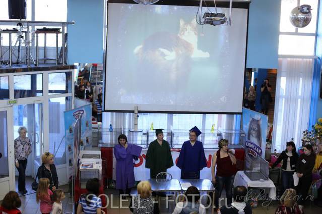 Космокот, Серпухов, VICTORY, 11-12 апреля, 2015