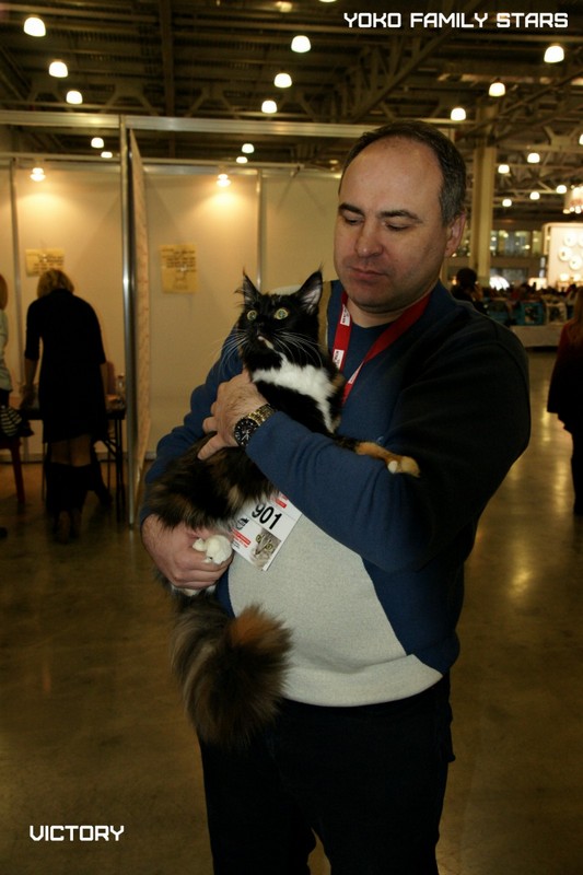 Йоко, VICTORY, Содружество-Grand Prix Royal Canin, 2014
