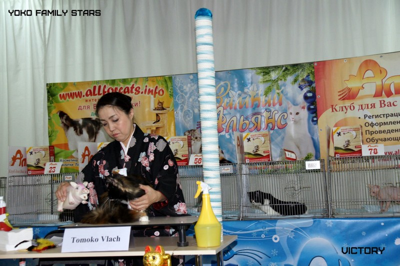 Зимний Альянс - 2015, Yoko Family Stars, VICTORY