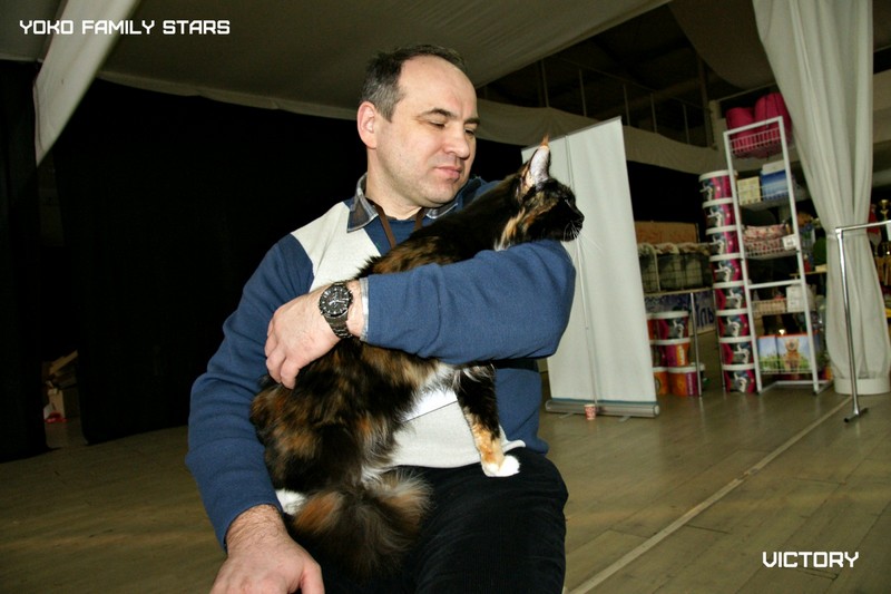 Зимний Альянс - 2015, Yoko Family Stars, VICTORY