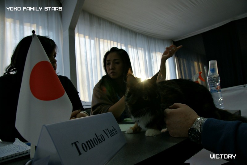 Зимний Альянс - 2015, Yoko Family Stars, VICTORY