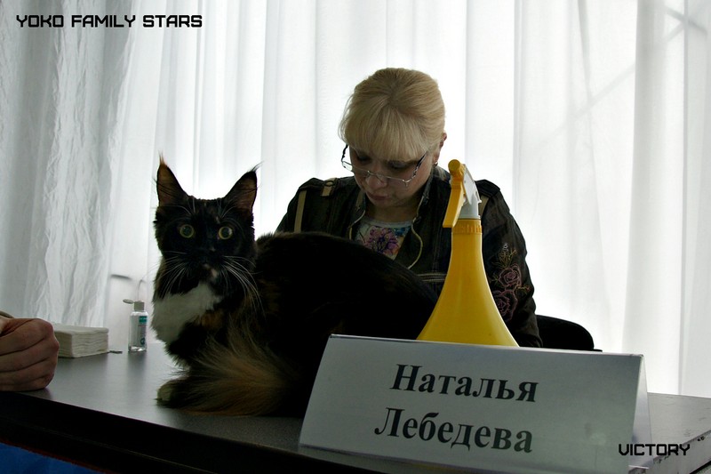 Yoko Family Stars, Зимний Гла-Мурр -2015, VICTORY