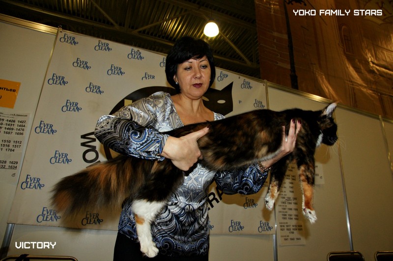 КЭТСБУРГ, 7-8 марта 2015, VICTORY