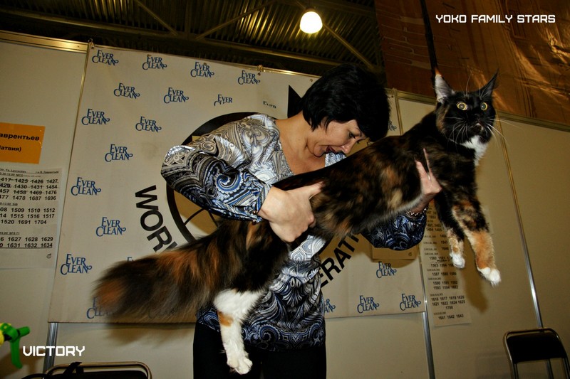 КЭТСБУРГ, 7-8 марта 2015, VICTORY