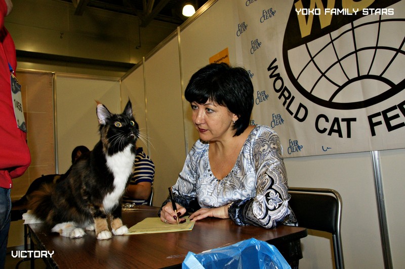 КЭТСБУРГ, 7-8 марта 2015, VICTORY