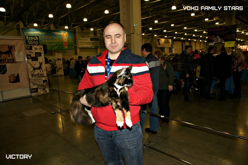 КЭТСБУРГ, 7-8 марта 2015, VICTORY