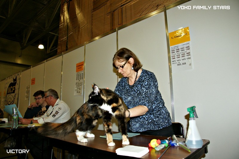 КЭТСБУРГ, 7-8 марта 2015, VICTORY