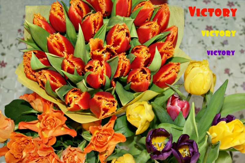 КЭТСБУРГ, 7-8 марта 2015, VICTORY